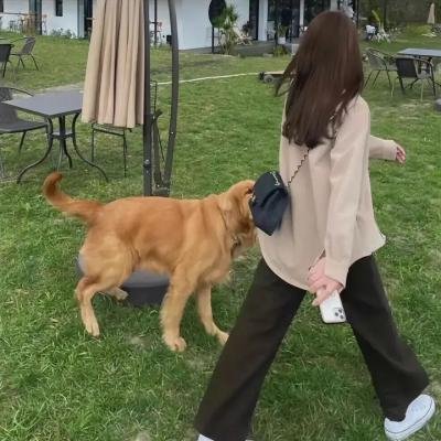 超级大老千